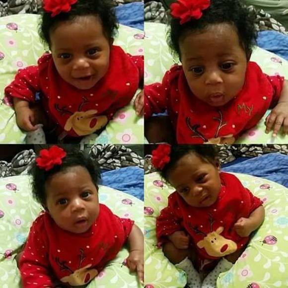 Meet your Posher, Ruby - Picture 1 of 1